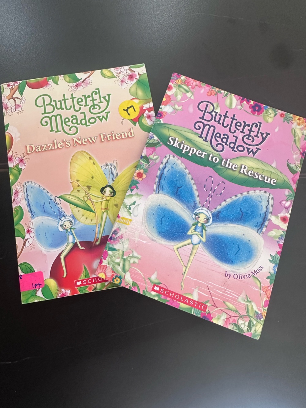 Butterfly Meadow Children's Chapter Books